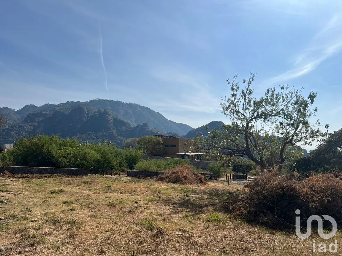 Terreno en Venta en Amatlán de Quetzalcóatl, Tepoztlán, Morelos | NEX-216927 | iad México | Foto 1 de 12