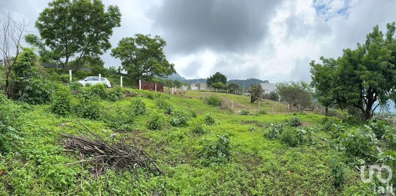 Terreno en Venta en Huachinantitla, Tepoztlán, Morelos | NEX-220049 | iad México | Foto 2 de 13