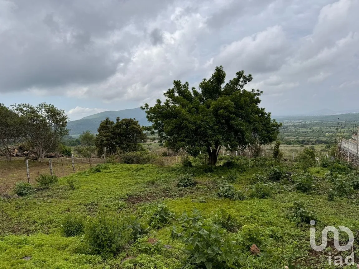 Terreno en Venta en Huachinantitla, Tepoztlán, Morelos | NEX-220049 | iad México | Foto 11 de 13