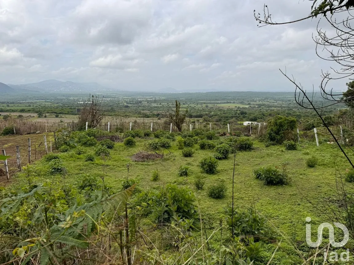 Terreno en Venta en Huachinantitla, Tepoztlán, Morelos | NEX-220049 | iad México | Foto 12 de 13