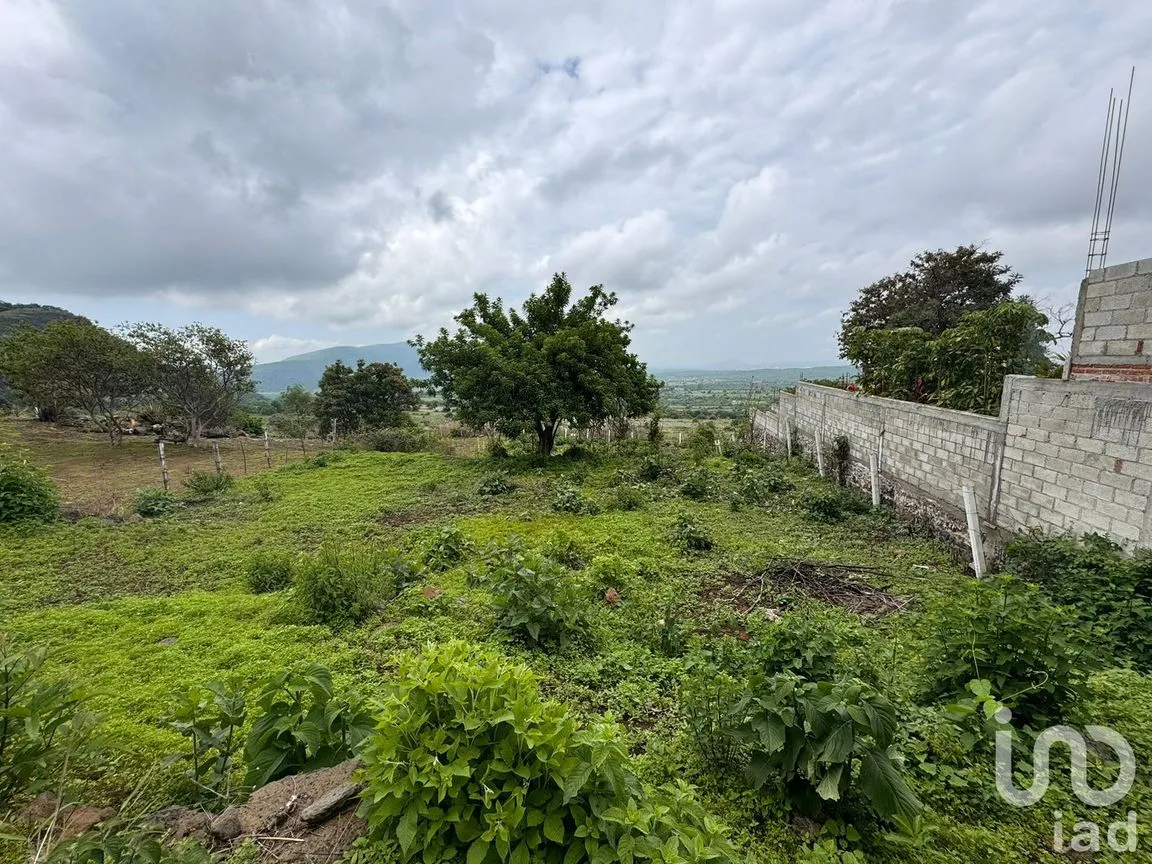 Terreno en Venta en Huachinantitla, Tepoztlán, Morelos | NEX-220049 | iad México | Foto 13 de 13