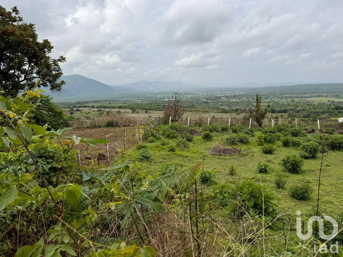 Terreno en Venta en Huachinantitla, Tepoztlán, Morelos | NEX-220049 | iad México | Foto 4 de 13