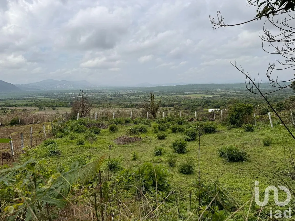 Terreno en Venta en Huachinantitla, Tepoztlán, Morelos | NEX-220049 | iad México | Foto 5 de 13