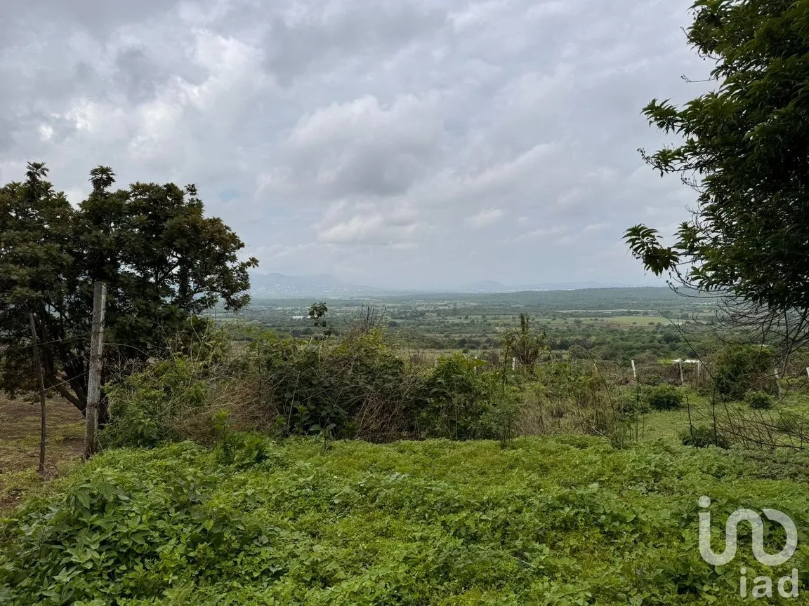 Terreno en Venta en Huachinantitla, Tepoztlán, Morelos | NEX-220049 | iad México | Foto 6 de 13