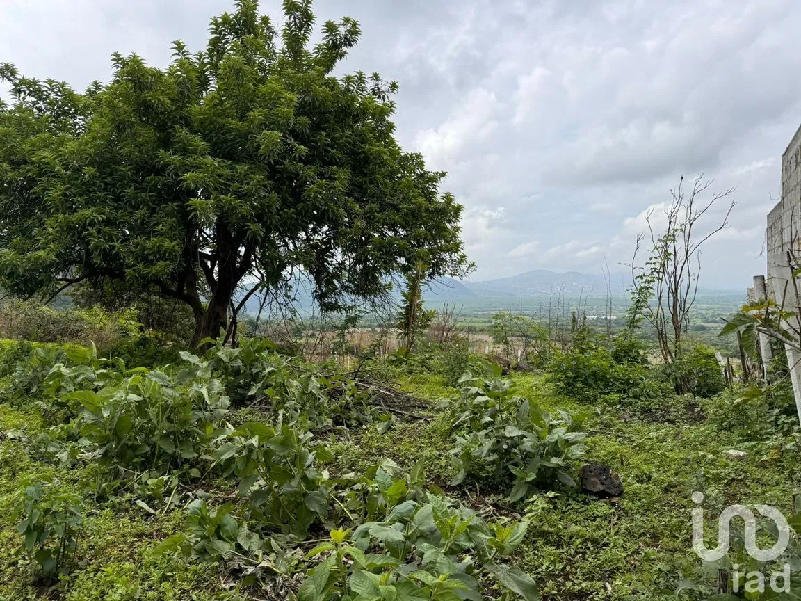 Terreno en Venta en Huachinantitla, Tepoztlán, Morelos | NEX-220049 | iad México | Foto 7 de 13