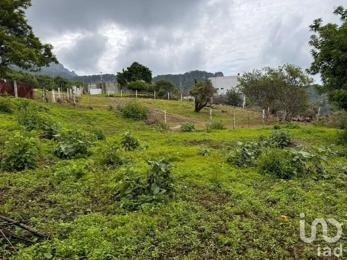 Terreno en Venta en Huachinantitla, Tepoztlán, Morelos | NEX-220049 | iad México | Foto 9 de 13