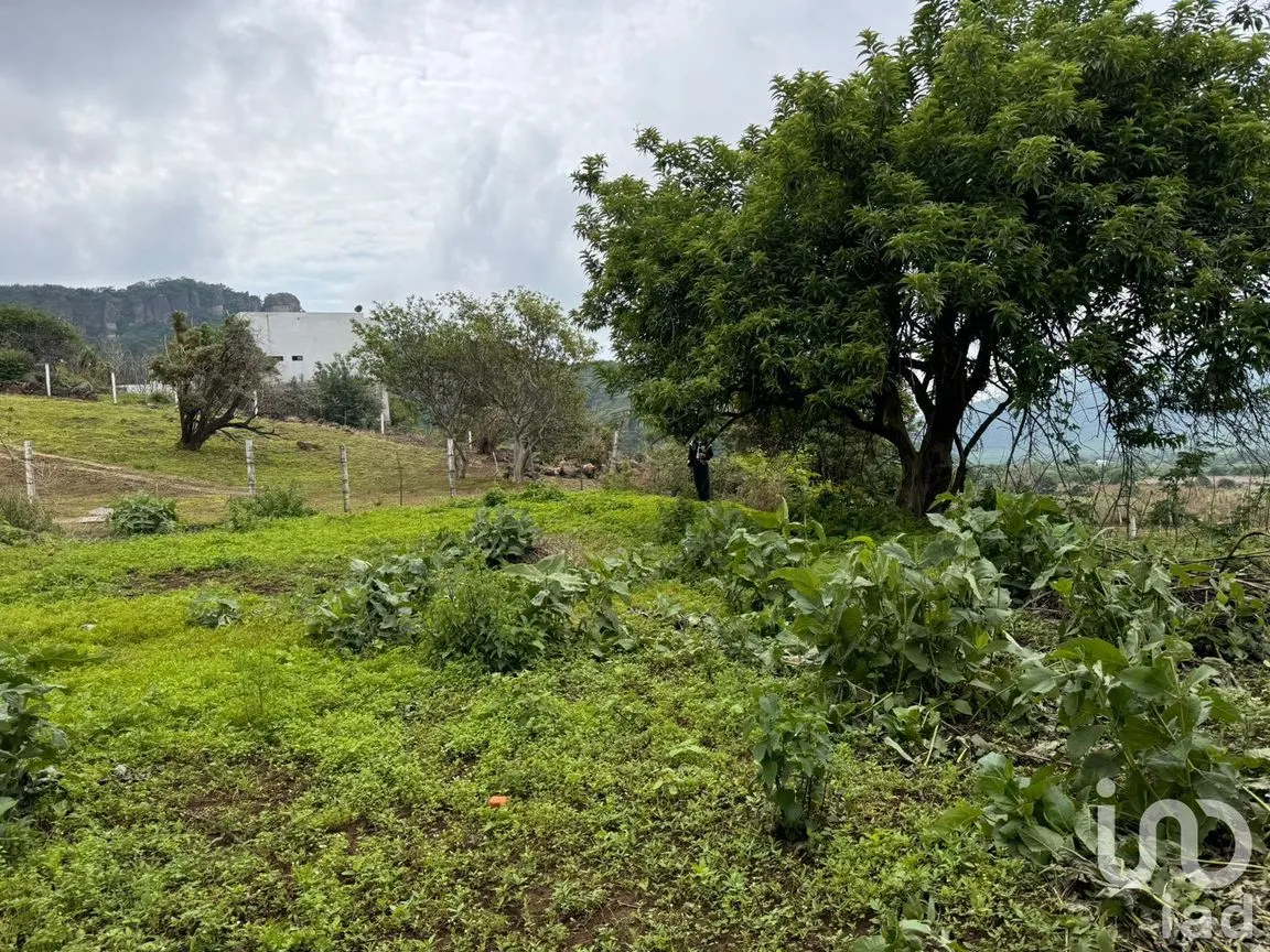 Terreno en Venta en Huachinantitla, Tepoztlán, Morelos | NEX-220049 | iad México | Foto 10 de 13
