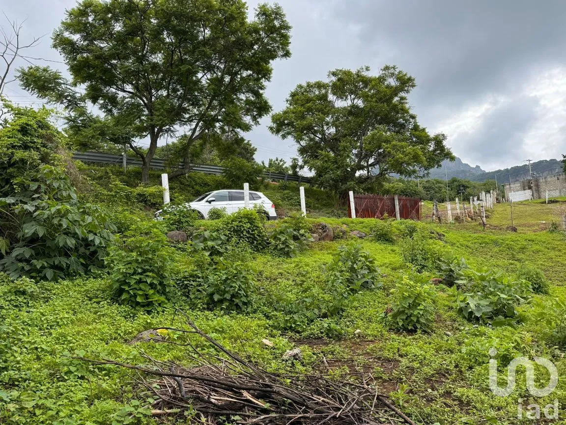 Terreno en Venta en Huachinantitla, Tepoztlán, Morelos | NEX-220049 | iad México | Foto 1 de 13