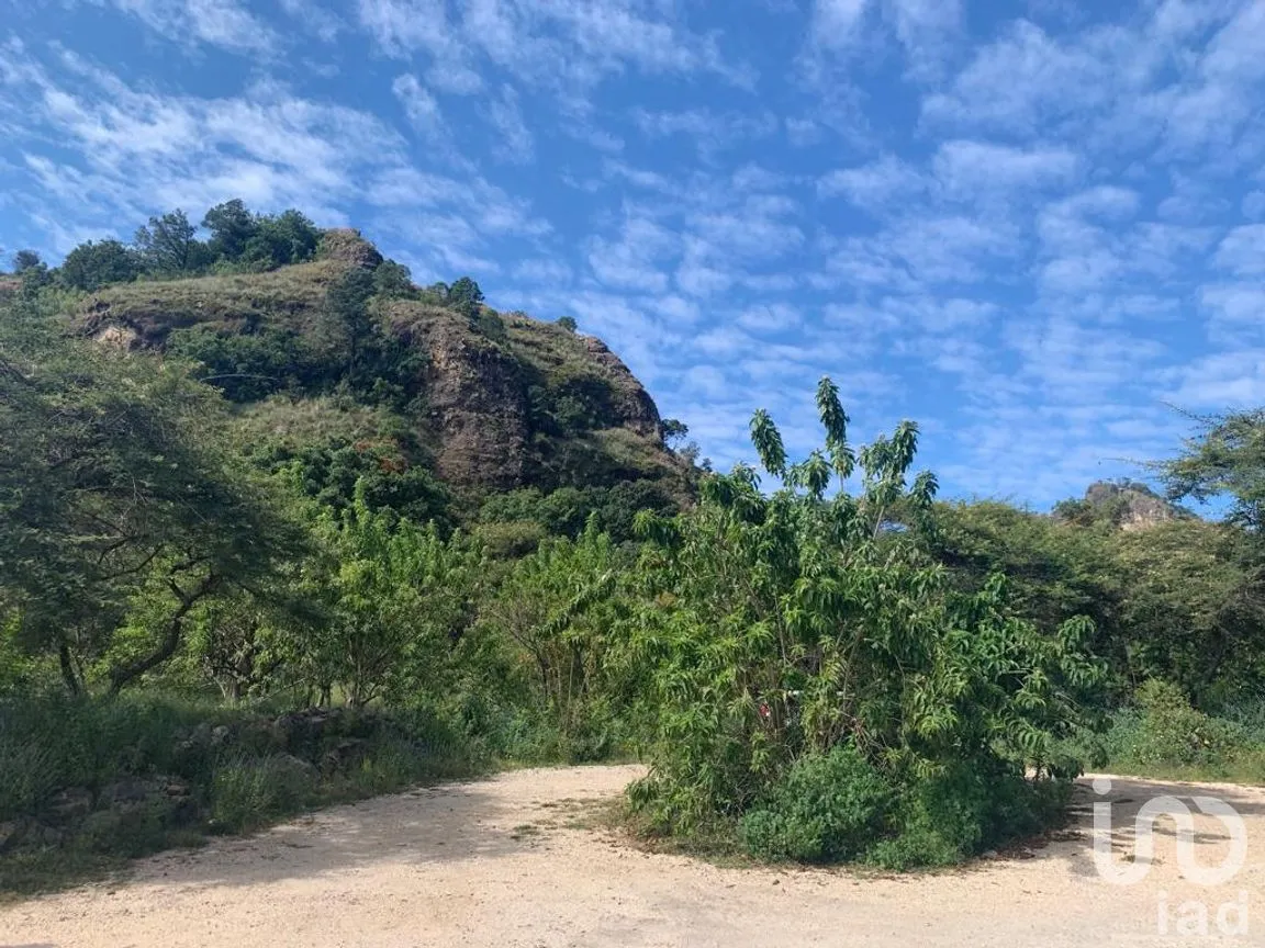 Terreno en Venta en Santo Domingo Ocotitlán, Tepoztlán, Morelos | NEX-220817 | iad México | Foto 3 de 10