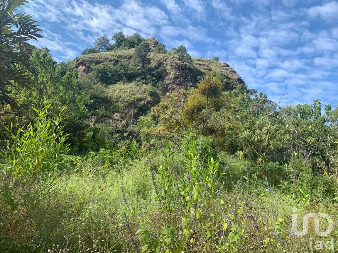 Terreno en Venta en Santo Domingo Ocotitlán, Tepoztlán, Morelos | NEX-220817 | iad México | Foto 4 de 10