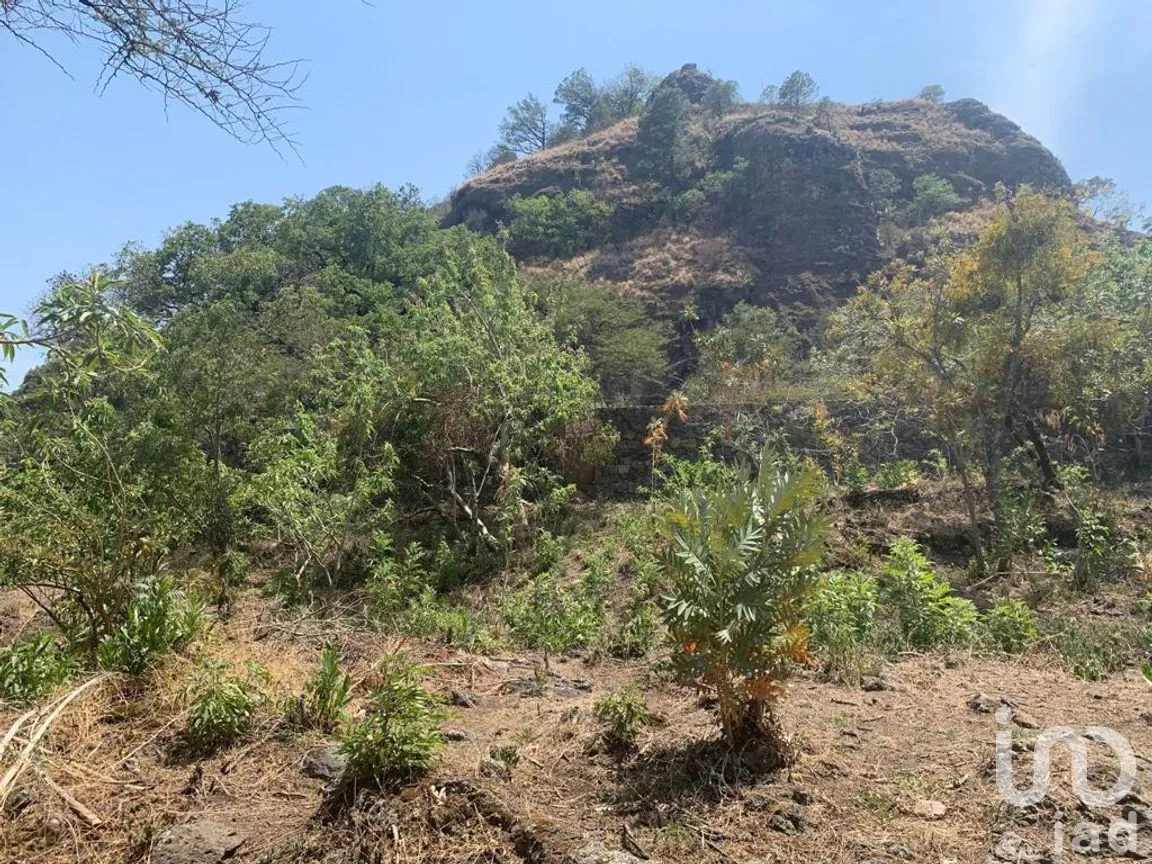 Terreno en Venta en Santo Domingo Ocotitlán, Tepoztlán, Morelos | NEX-220817 | iad México | Foto 5 de 10