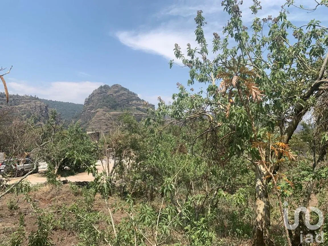 Terreno en Venta en Santo Domingo Ocotitlán, Tepoztlán, Morelos | NEX-220817 | iad México | Foto 6 de 10