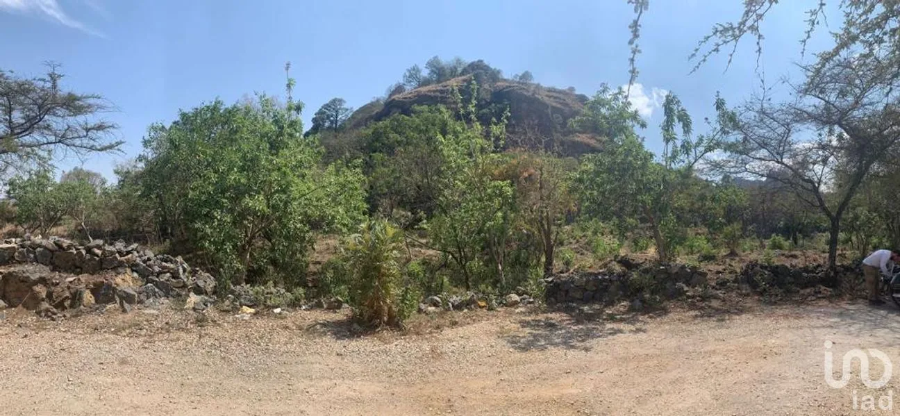Terreno en Venta en Santo Domingo Ocotitlán, Tepoztlán, Morelos | NEX-220817 | iad México | Foto 7 de 10