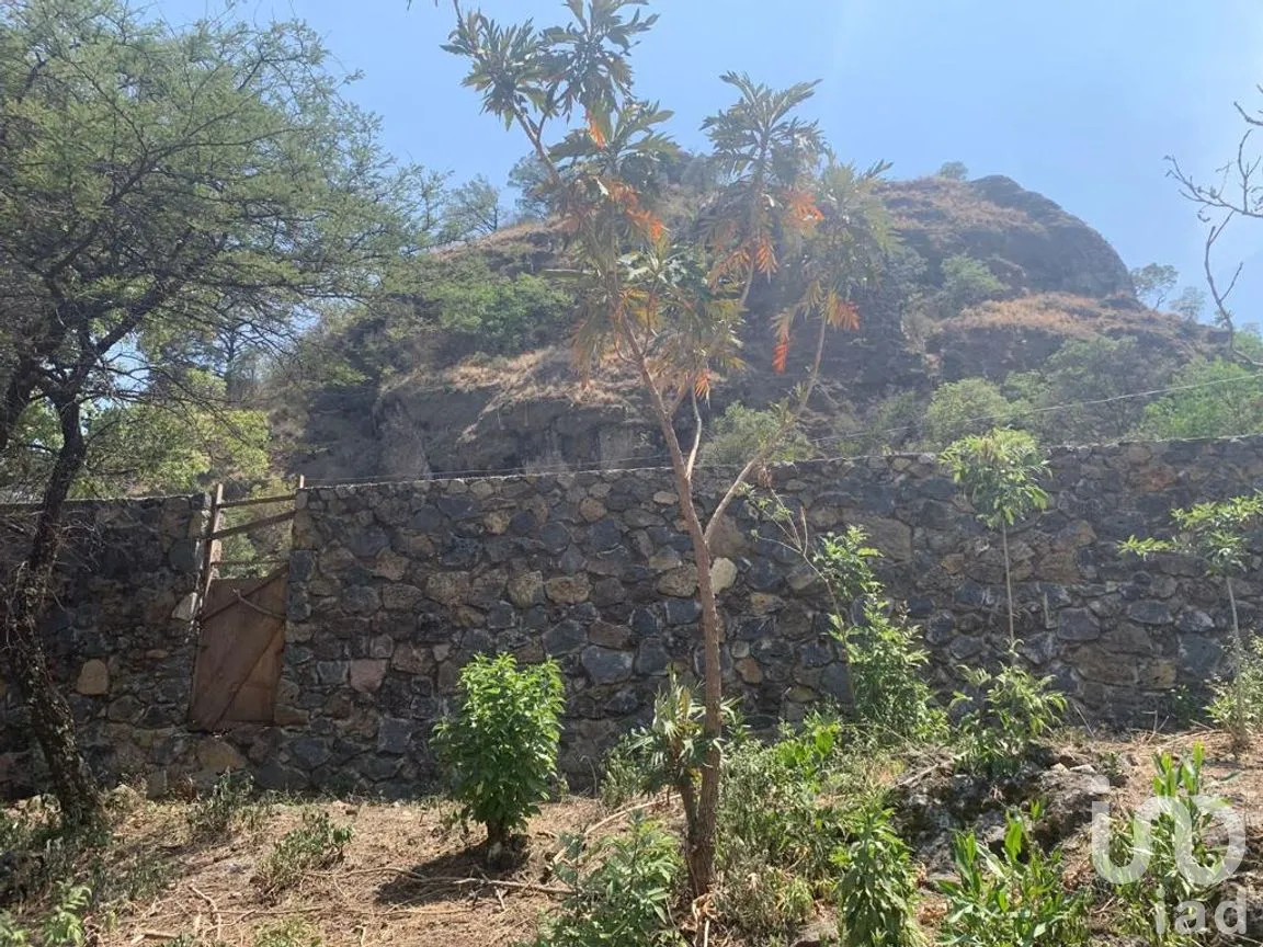 Terreno en Venta en Santo Domingo Ocotitlán, Tepoztlán, Morelos | NEX-220817 | iad México | Foto 8 de 10