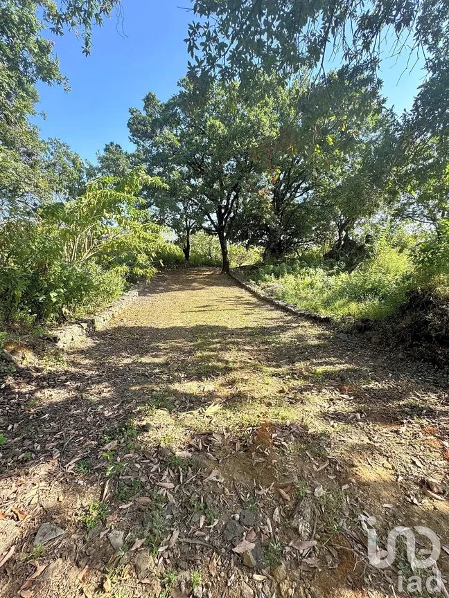 Terreno en Venta en Santo Domingo Ocotitlán, Tepoztlán, Morelos | NEX-238267 | iad México | Foto 2 de 4