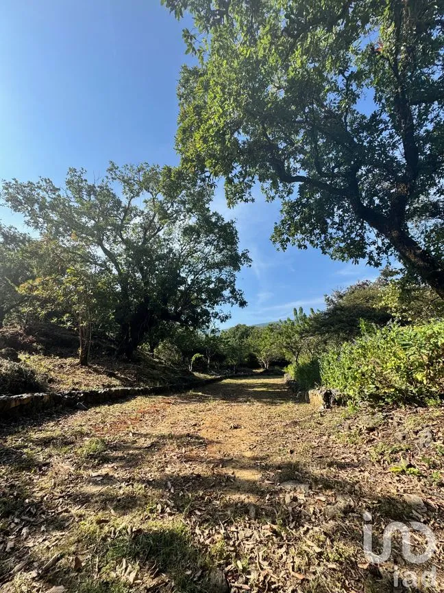 Terreno en Venta en Santo Domingo Ocotitlán, Tepoztlán, Morelos | NEX-238267 | iad México | Foto 3 de 4
