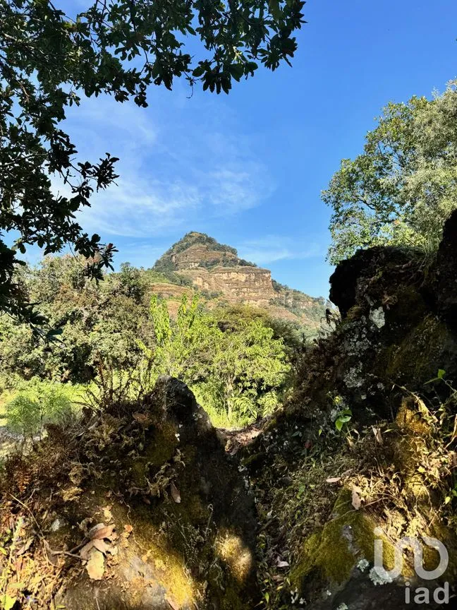Terreno en Venta en Santo Domingo Ocotitlán, Tepoztlán, Morelos | NEX-238267 | iad México | Foto 4 de 4
