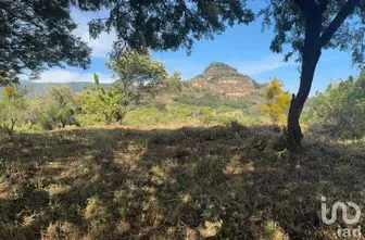 NEX-238267 - Terreno en Venta en Santo Domingo Ocotitlán, CP 62524, Morelos.
