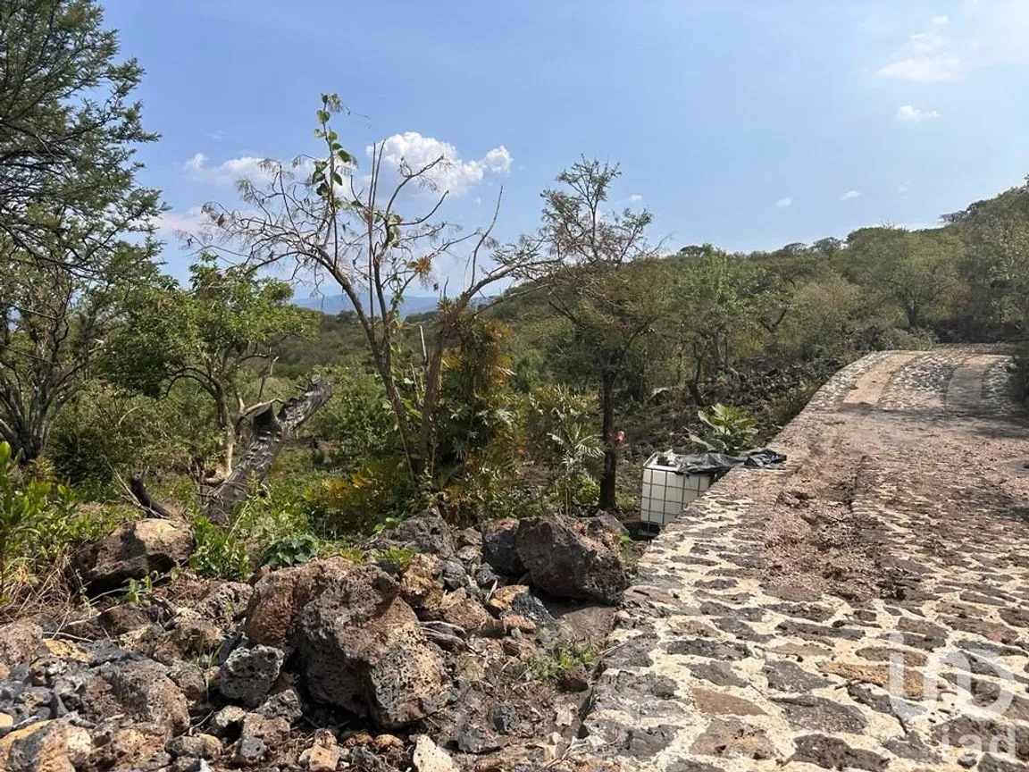 Terreno en Venta en Santo Domingo Ocotitlán, Tepoztlán, Morelos | NEX-240438 | iad México | Foto 2 de 8