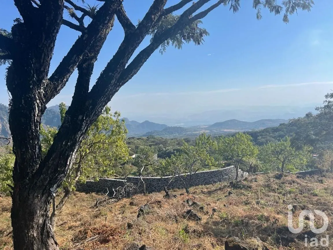 Terreno en Venta en Santo Domingo Ocotitlán, Tepoztlán, Morelos | NEX-240438 | iad México | Foto 3 de 8