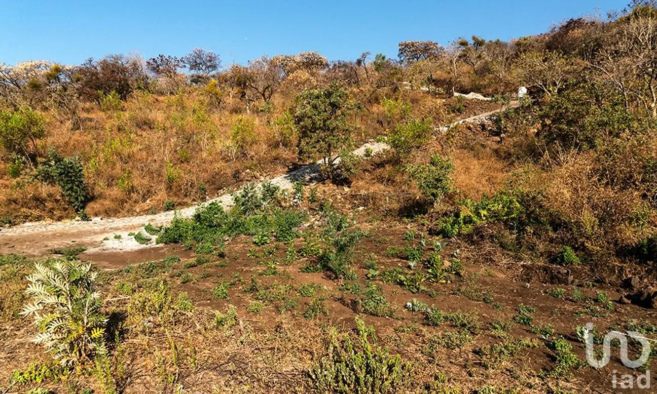 Terreno en Venta en Santo Domingo Ocotitlán, Tepoztlán, Morelos | NEX-240438 | iad México | Foto 4 de 8