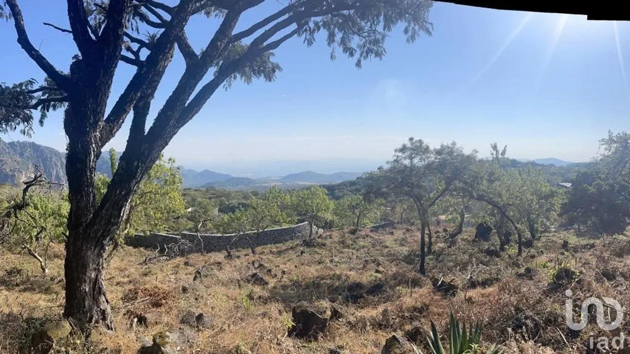 Terreno en Venta en Santo Domingo Ocotitlán, Tepoztlán, Morelos | NEX-240438 | iad México | Foto 5 de 8