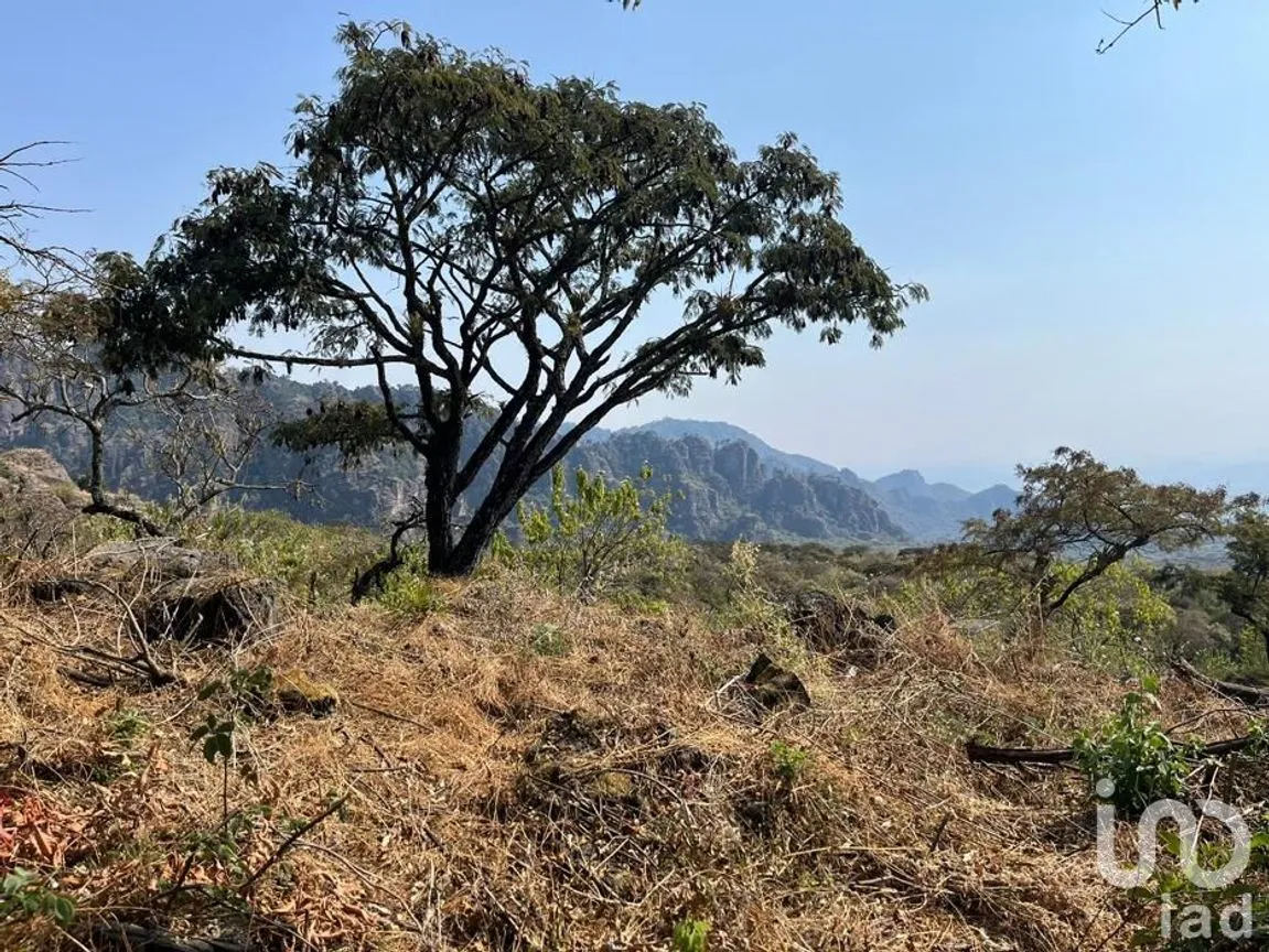Terreno en Venta en Santo Domingo Ocotitlán, Tepoztlán, Morelos | NEX-240438 | iad México | Foto 6 de 8