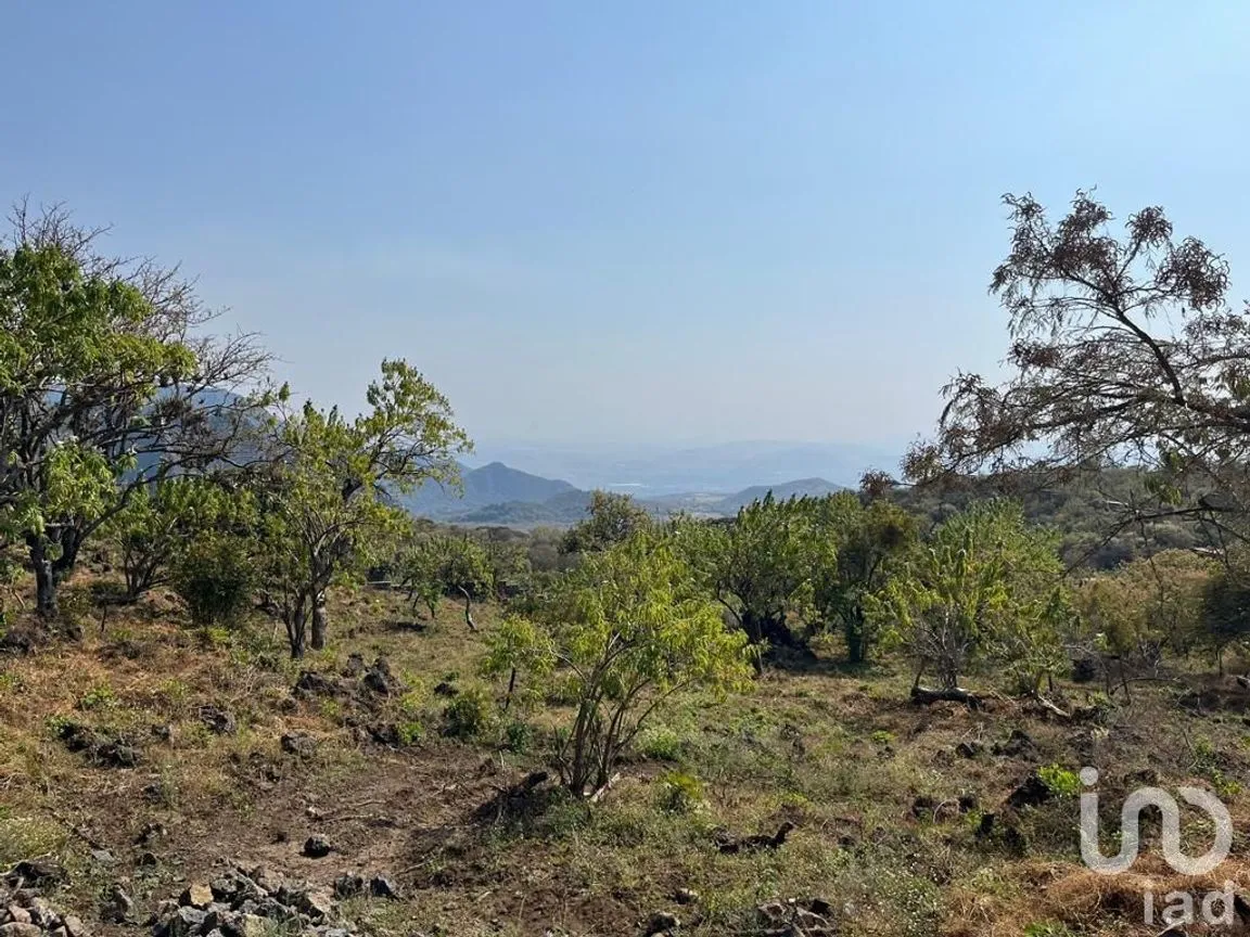 Terreno en Venta en Santo Domingo Ocotitlán, Tepoztlán, Morelos | NEX-240438 | iad México | Foto 7 de 8