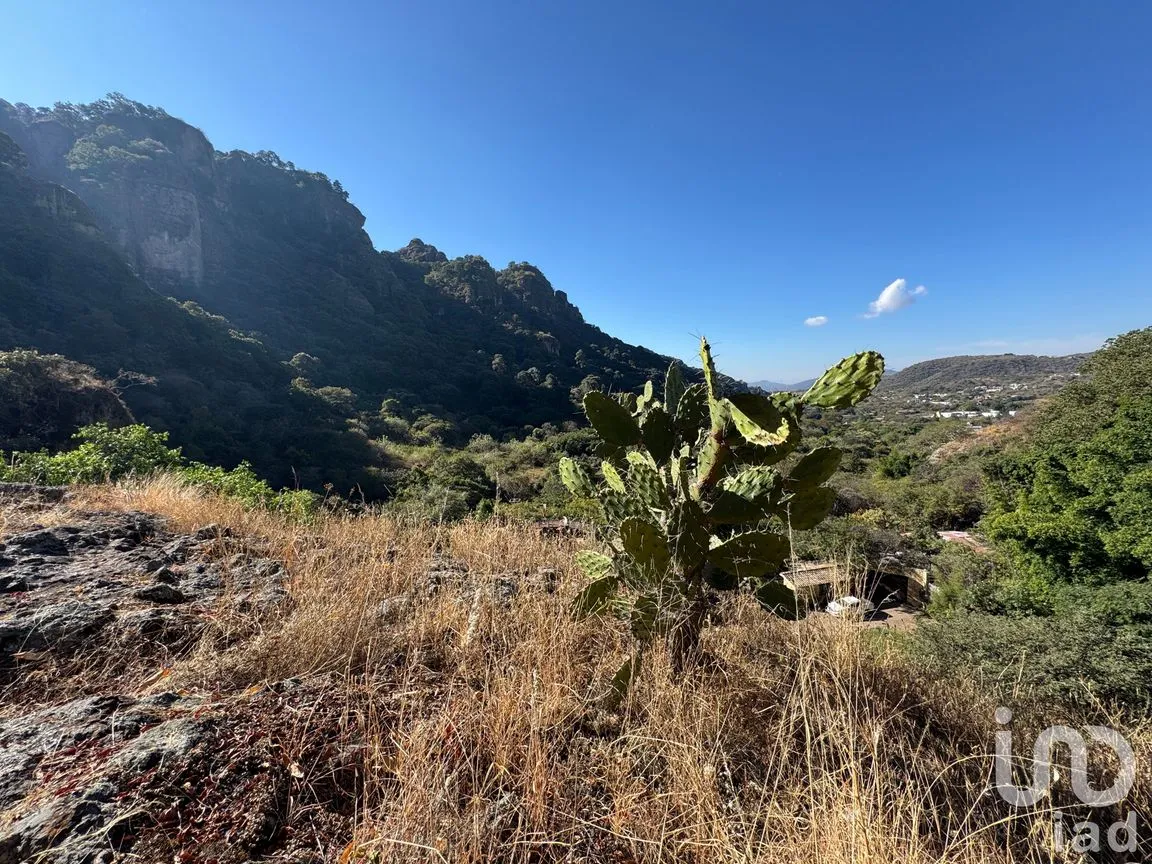 Casa en Venta en Amatlán de Quetzalcóatl, Tepoztlán, Morelos | NEX-240926 | iad México | Foto 8 de 12