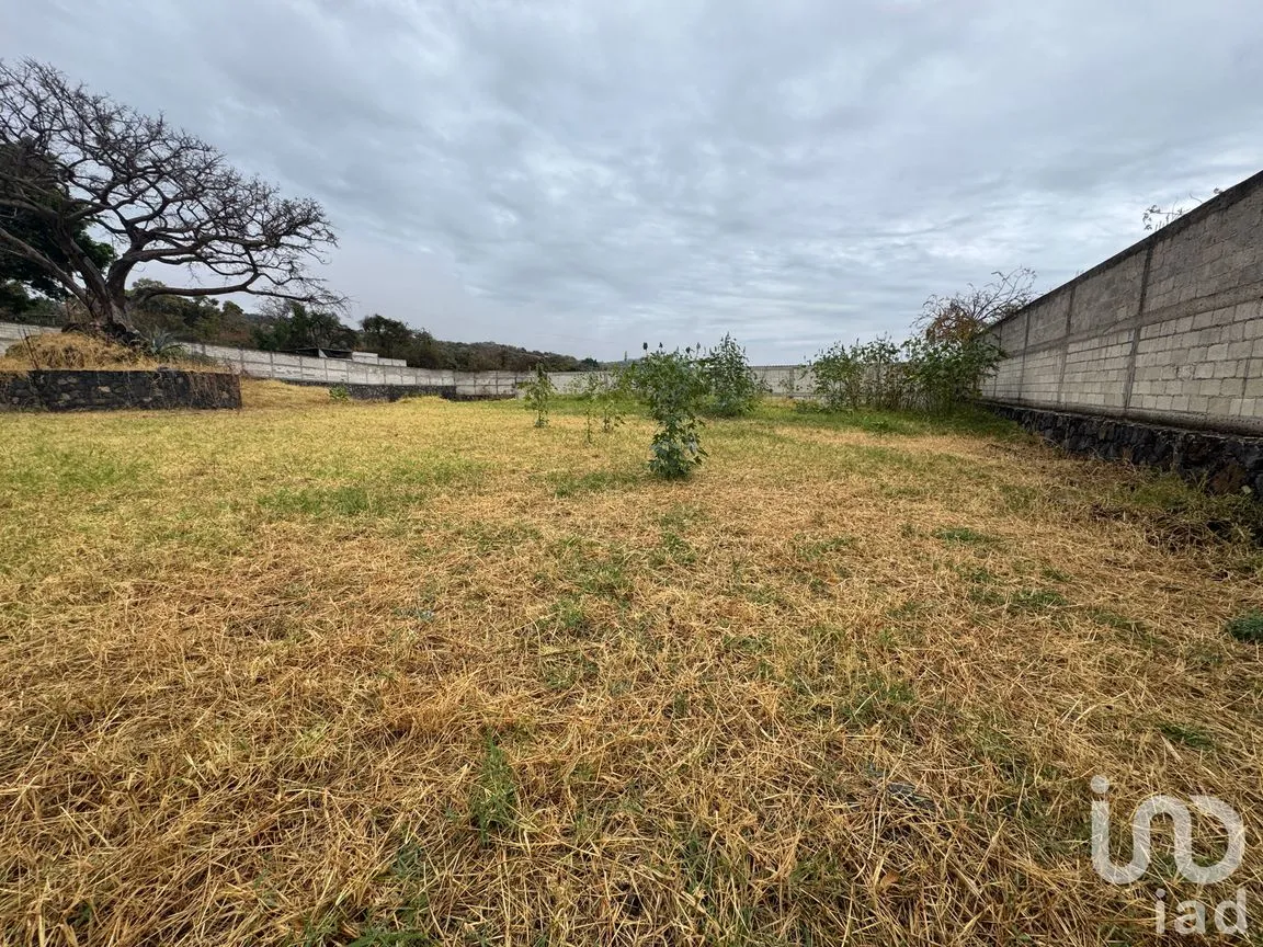 Casa en Venta en Chichco (Chisco), Tepoztlán, Morelos | NEX-240950 | iad México | Foto 9 de 16