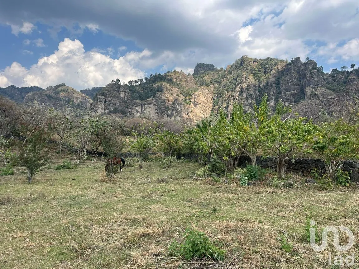 Terreno en Venta en Santo Domingo Ocotitlán, Tepoztlán, Morelos | NEX-243920 | iad México | Foto 2 de 7
