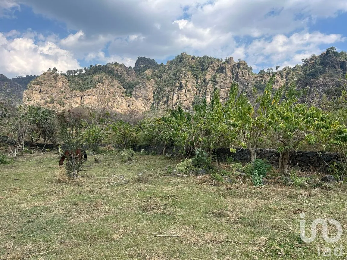 Terreno en Venta en Santo Domingo Ocotitlán, Tepoztlán, Morelos | NEX-243920 | iad México | Foto 3 de 7