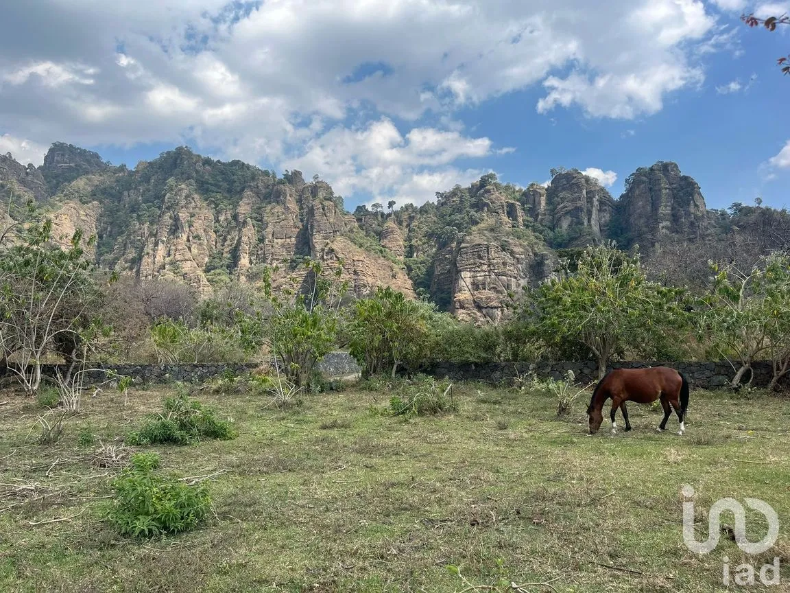Terreno en Venta en Santo Domingo Ocotitlán, Tepoztlán, Morelos | NEX-243920 | iad México | Foto 4 de 7