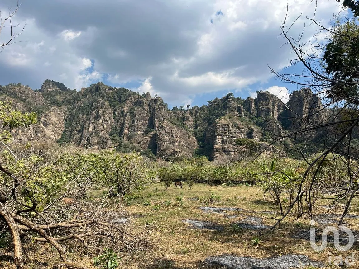 Terreno en Venta en Santo Domingo Ocotitlán, Tepoztlán, Morelos | NEX-243920 | iad México | Foto 5 de 7
