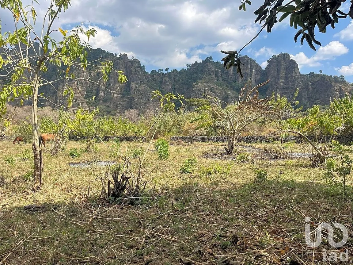 Terreno en Venta en Santo Domingo Ocotitlán, Tepoztlán, Morelos | NEX-243920 | iad México | Foto 6 de 7