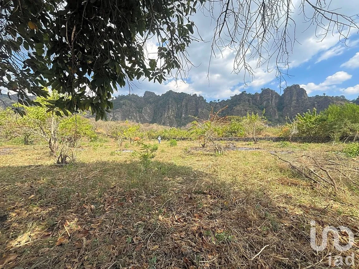 Terreno en Venta en Santo Domingo Ocotitlán, Tepoztlán, Morelos | NEX-243920 | iad México | Foto 7 de 7
