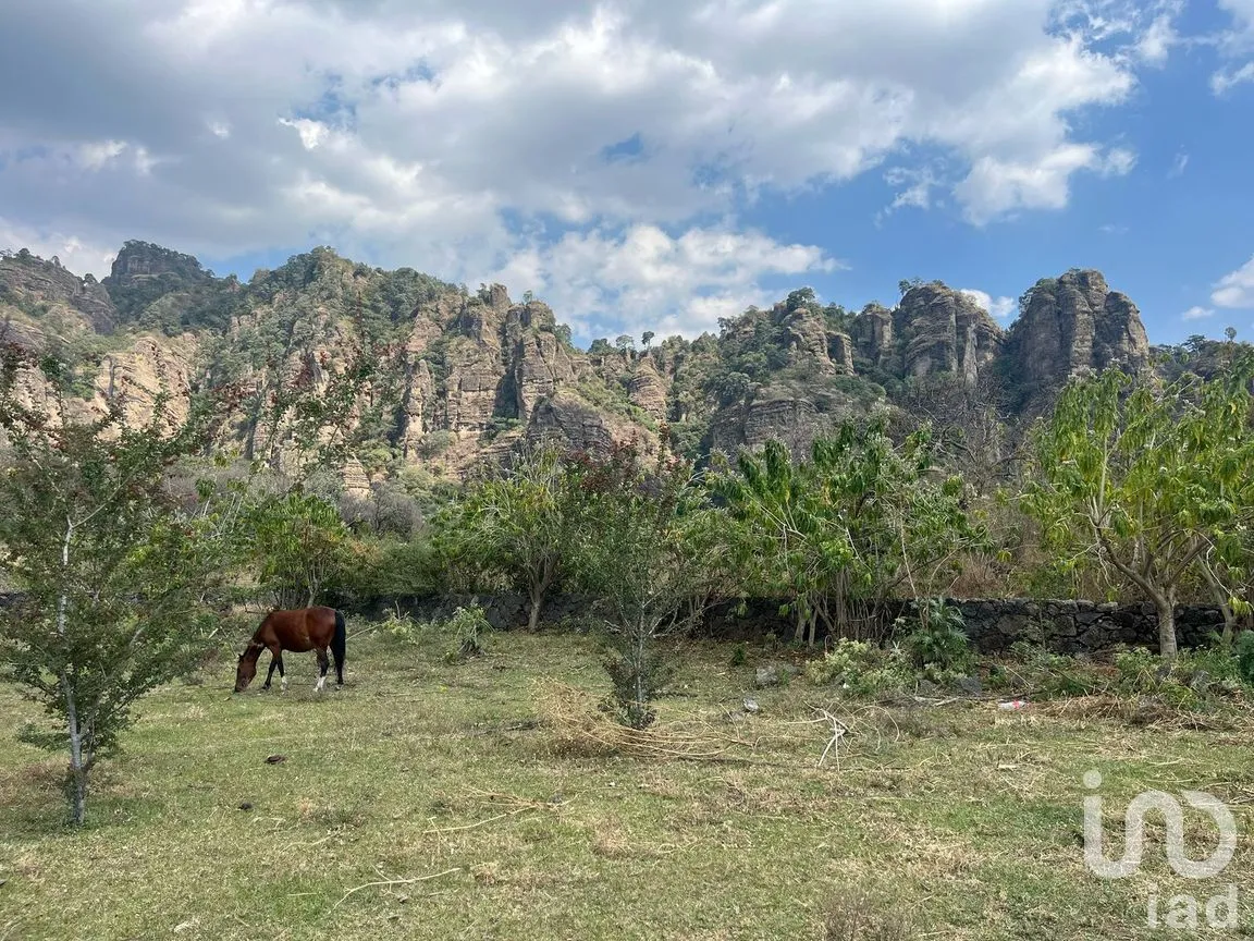 Terreno en Venta en Santo Domingo Ocotitlán, Tepoztlán, Morelos | NEX-243920 | iad México | Foto 1 de 7