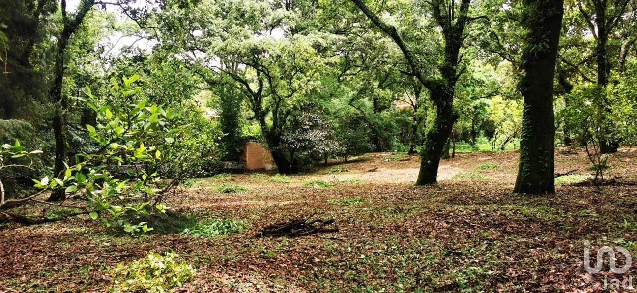 Terreno en Venta en Los Ocotes, Tepoztlán, Morelos | NEX-244630 | iad México | Foto 2 de 8