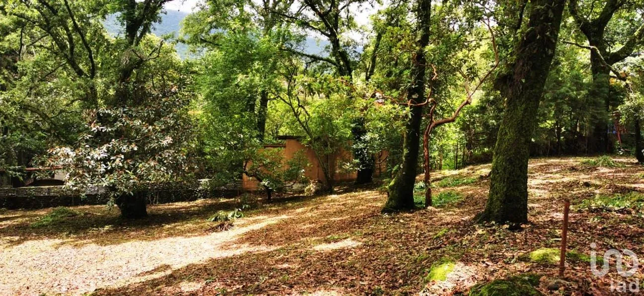 Terreno en Venta en Los Ocotes, Tepoztlán, Morelos | NEX-244630 | iad México | Foto 3 de 8