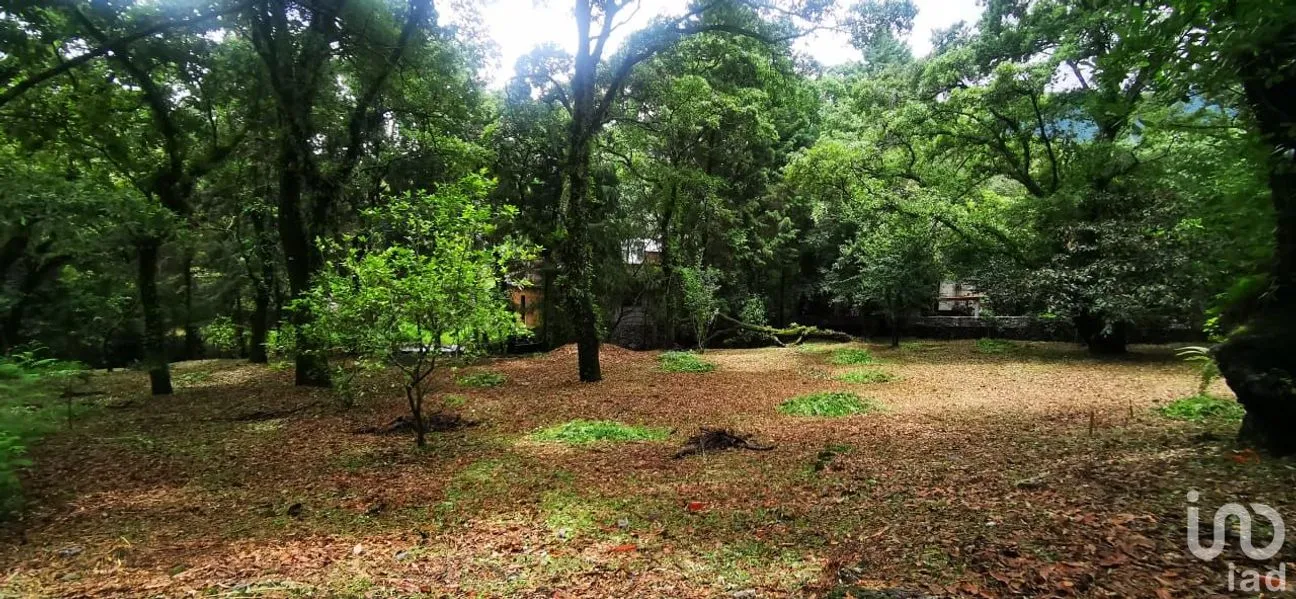 Terreno en Venta en Los Ocotes, Tepoztlán, Morelos | NEX-244630 | iad México | Foto 5 de 8