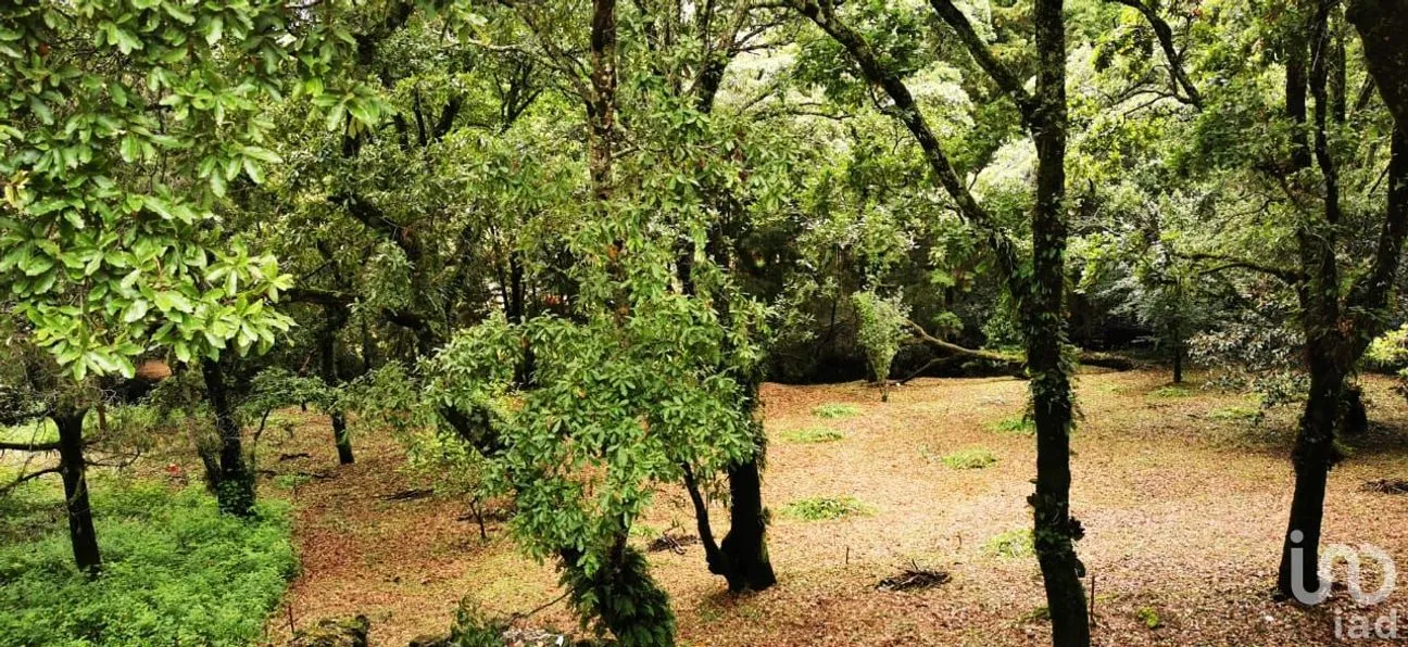 Terreno en Venta en Los Ocotes, Tepoztlán, Morelos | NEX-244630 | iad México | Foto 6 de 8