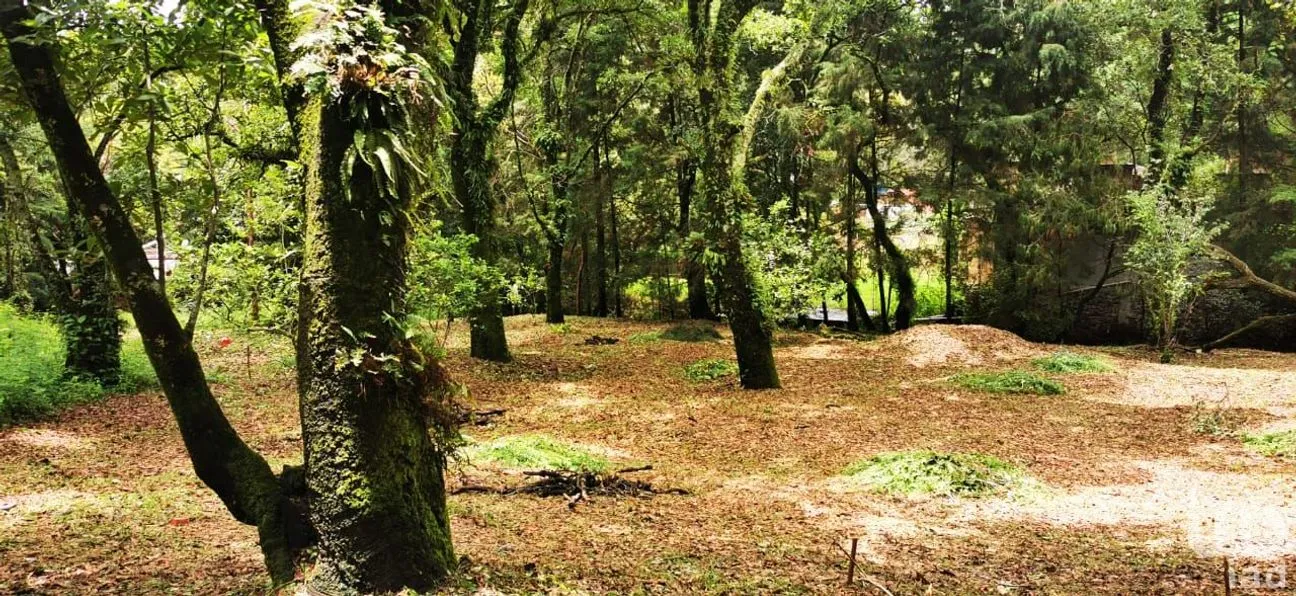 Terreno en Venta en Los Ocotes, Tepoztlán, Morelos | NEX-244630 | iad México | Foto 7 de 8