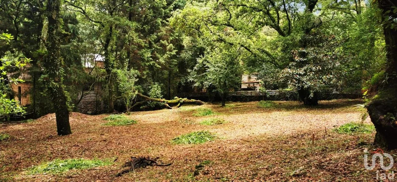 Terreno en Venta en Los Ocotes, Tepoztlán, Morelos | NEX-244630 | iad México | Foto 1 de 8