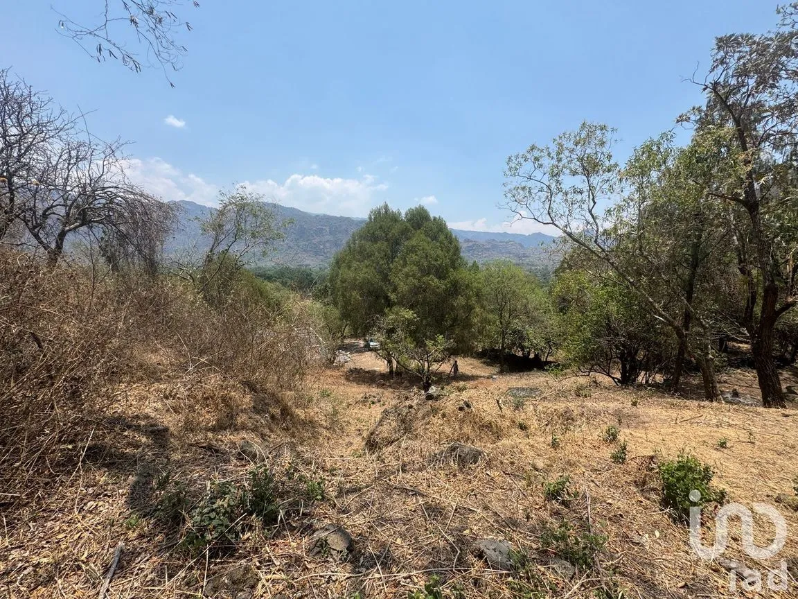 Terreno en Venta en Santo Domingo, Tepoztlán, Morelos | NEX-250540 | iad México | Foto 2 de 6
