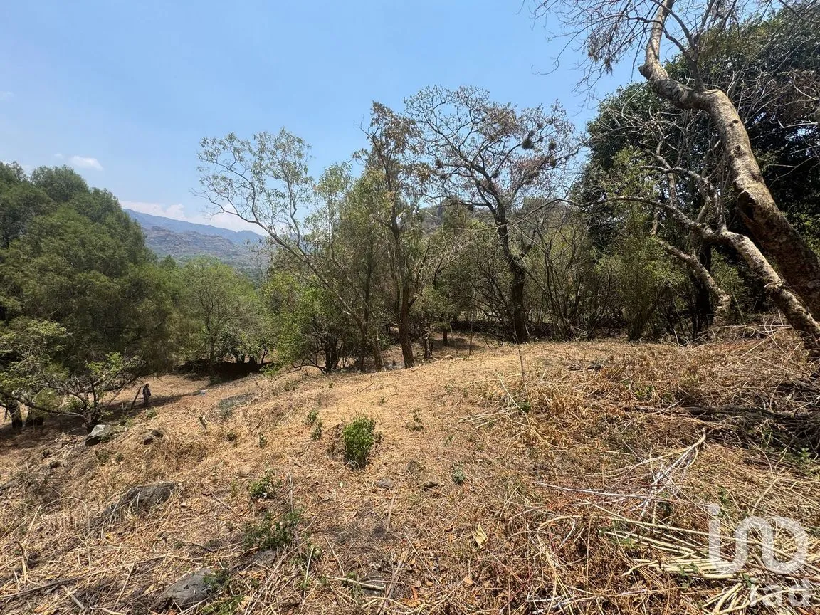 Terreno en Venta en Santo Domingo, Tepoztlán, Morelos | NEX-250540 | iad México | Foto 3 de 6