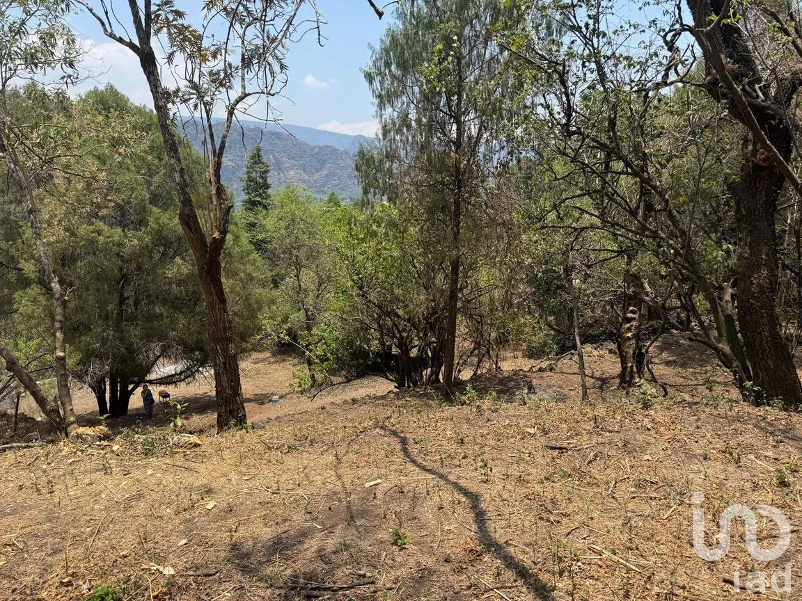 Terreno en Venta en Santo Domingo, Tepoztlán, Morelos | NEX-250540 | iad México | Foto 4 de 6
