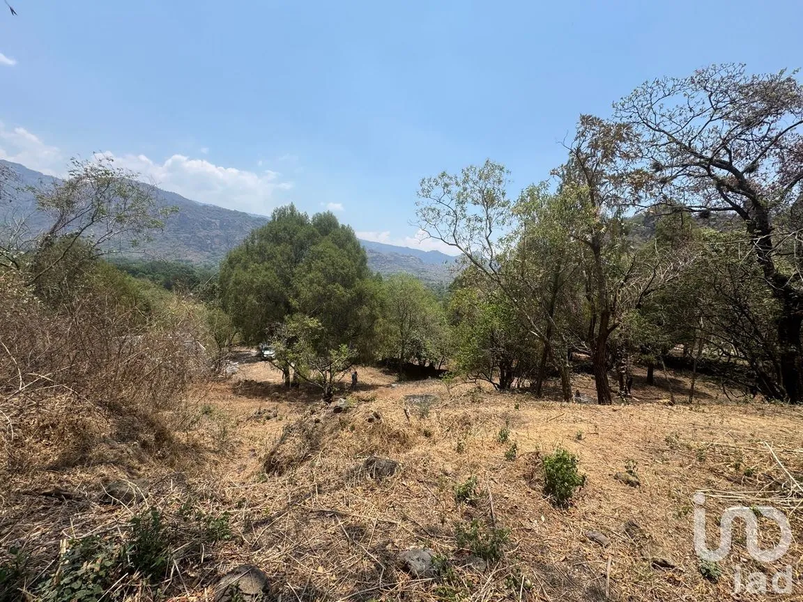 Terreno en Venta en Santo Domingo, Tepoztlán, Morelos | NEX-250540 | iad México | Foto 5 de 6