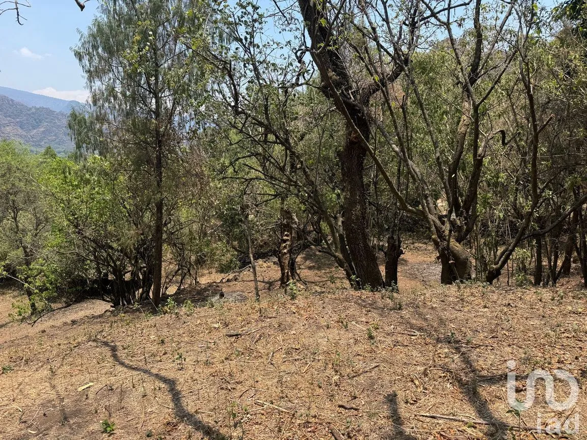Terreno en Venta en Santo Domingo, Tepoztlán, Morelos | NEX-250540 | iad México | Foto 6 de 6