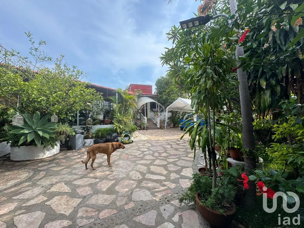 Casa en Venta en Tecmilco, Tepoztlán, Morelos | NEX-253378 | iad México | Foto 2 de 9