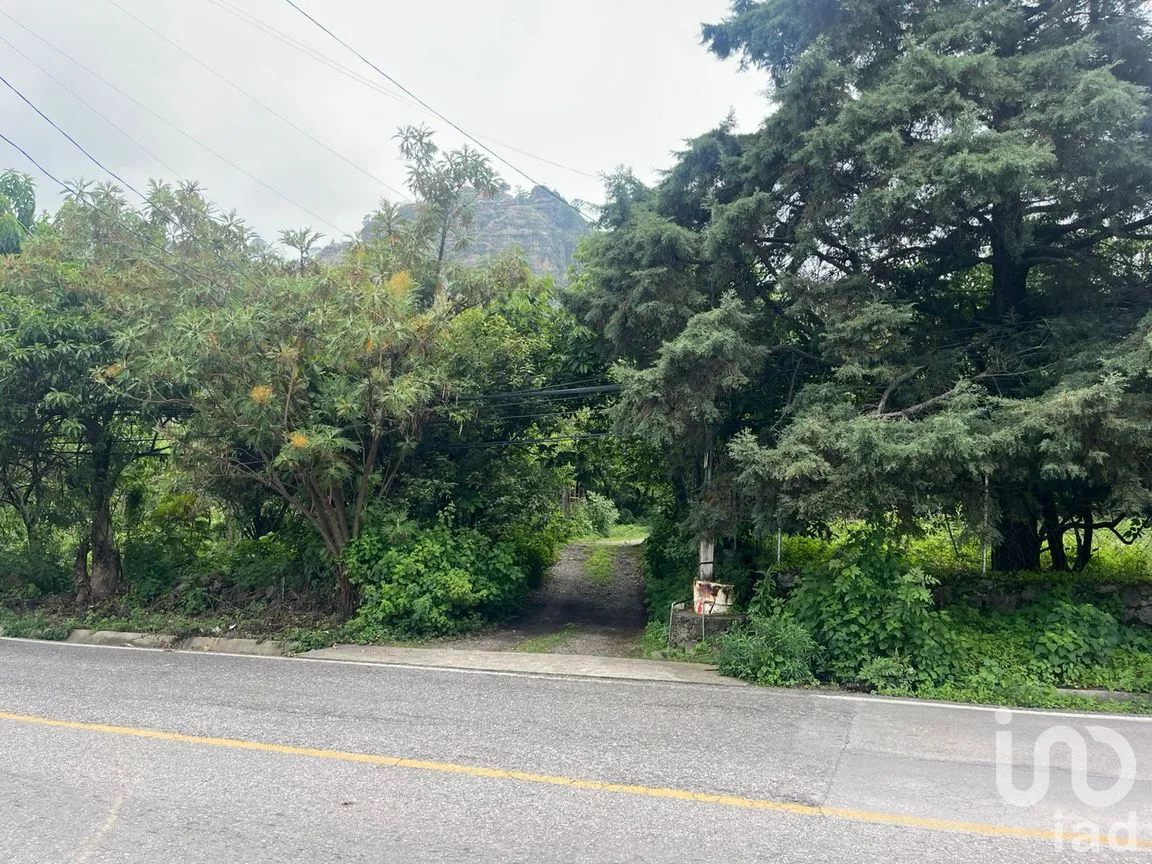 Terreno en Venta en Santo Domingo Ocotitlán, Tepoztlán, Morelos | NEX-254507 | iad México | Foto 2 de 6